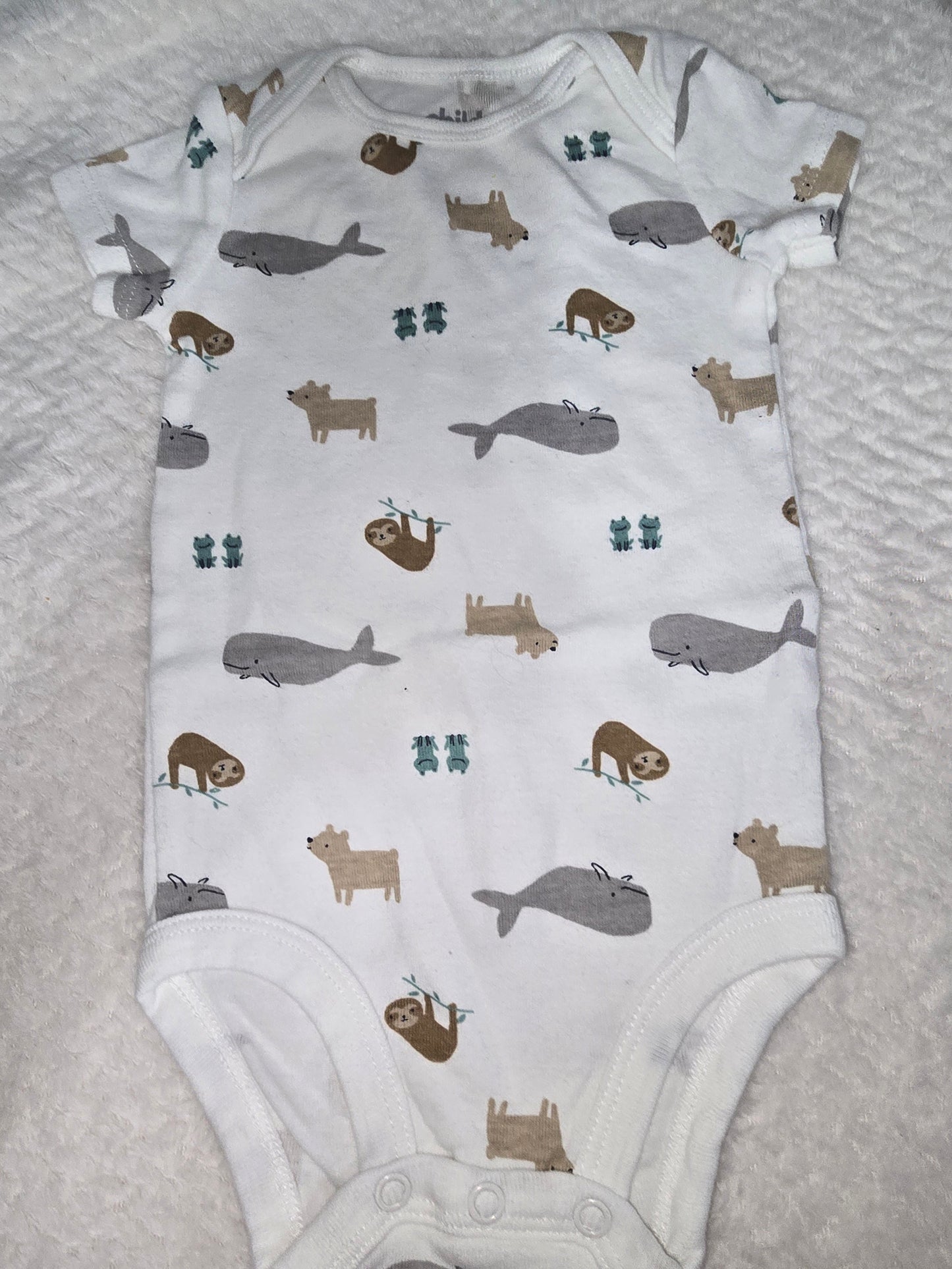 Boy 3-6m