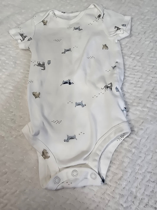 Boy 6m