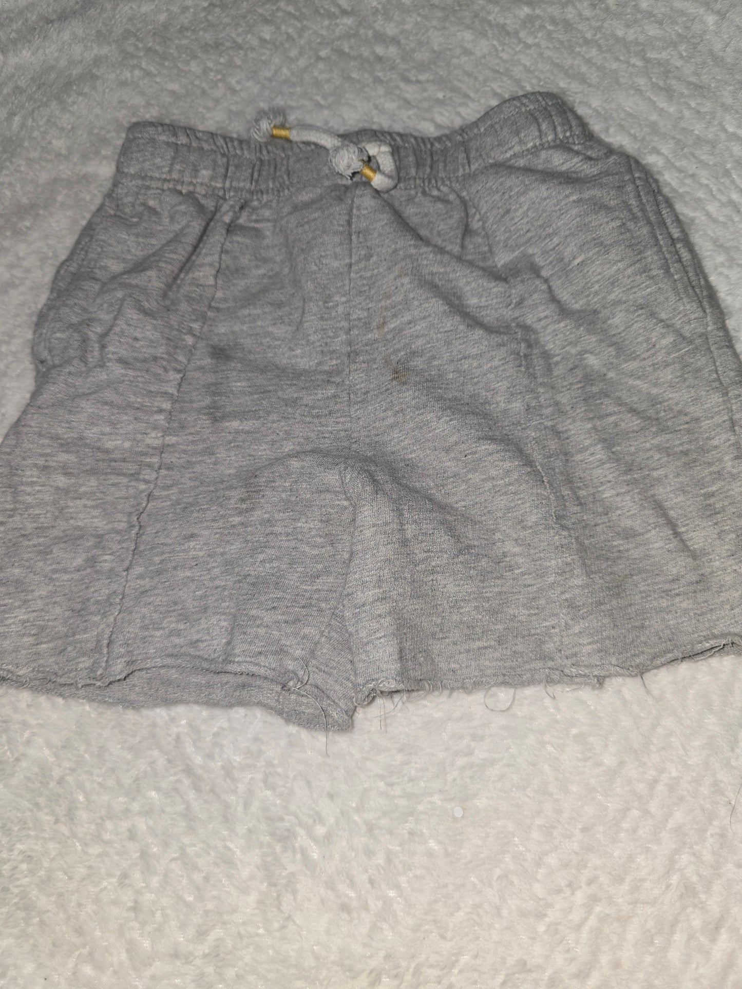 Boy shorts 4t