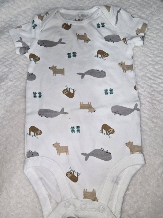 Boy 3-6m