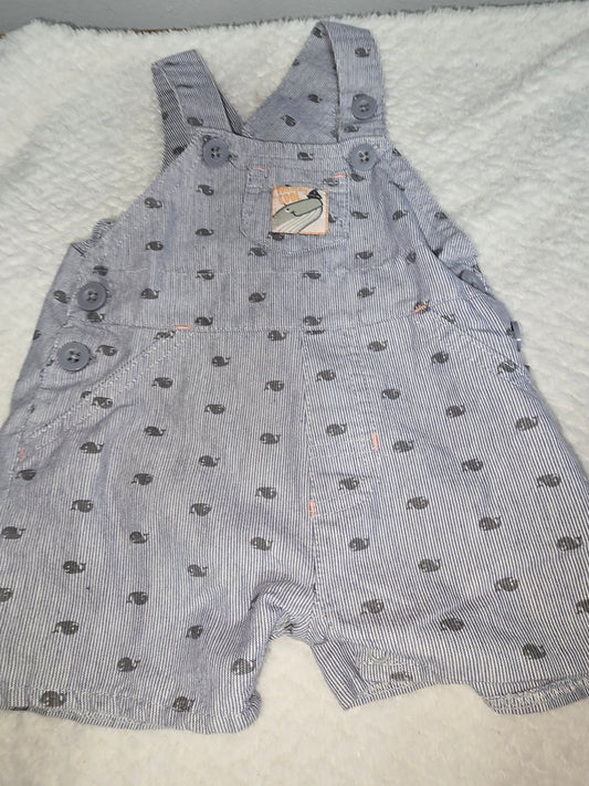 Boy 3-6m