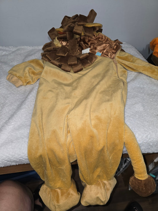 Halloween 12/24m