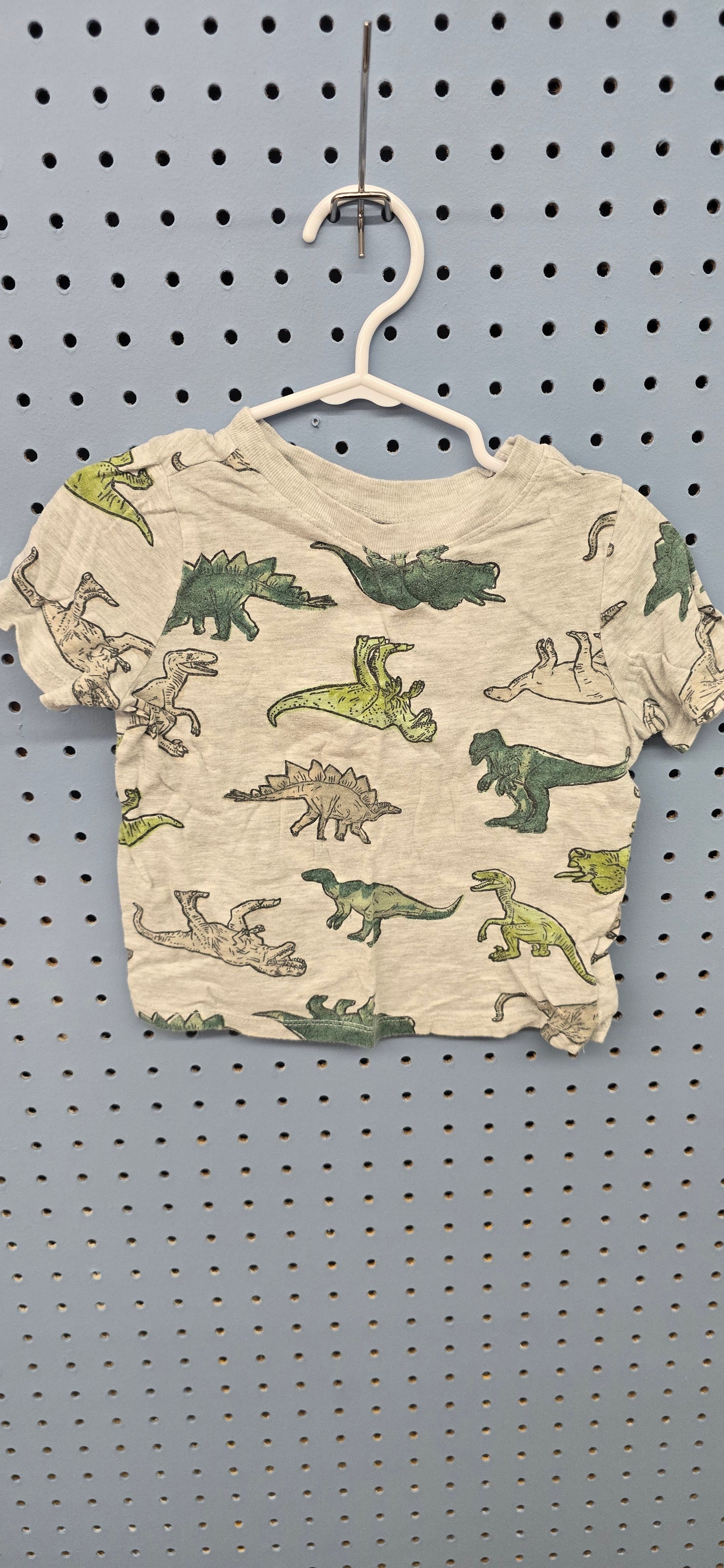 Dino shirt 2t