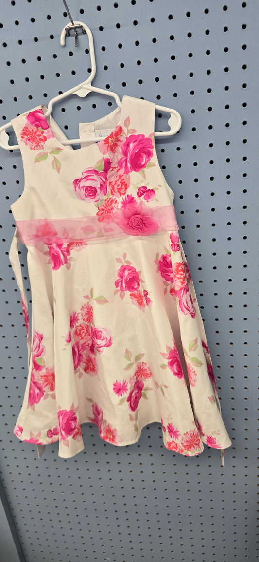 Dress 4t