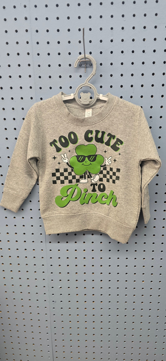 Two cute shirt 2t