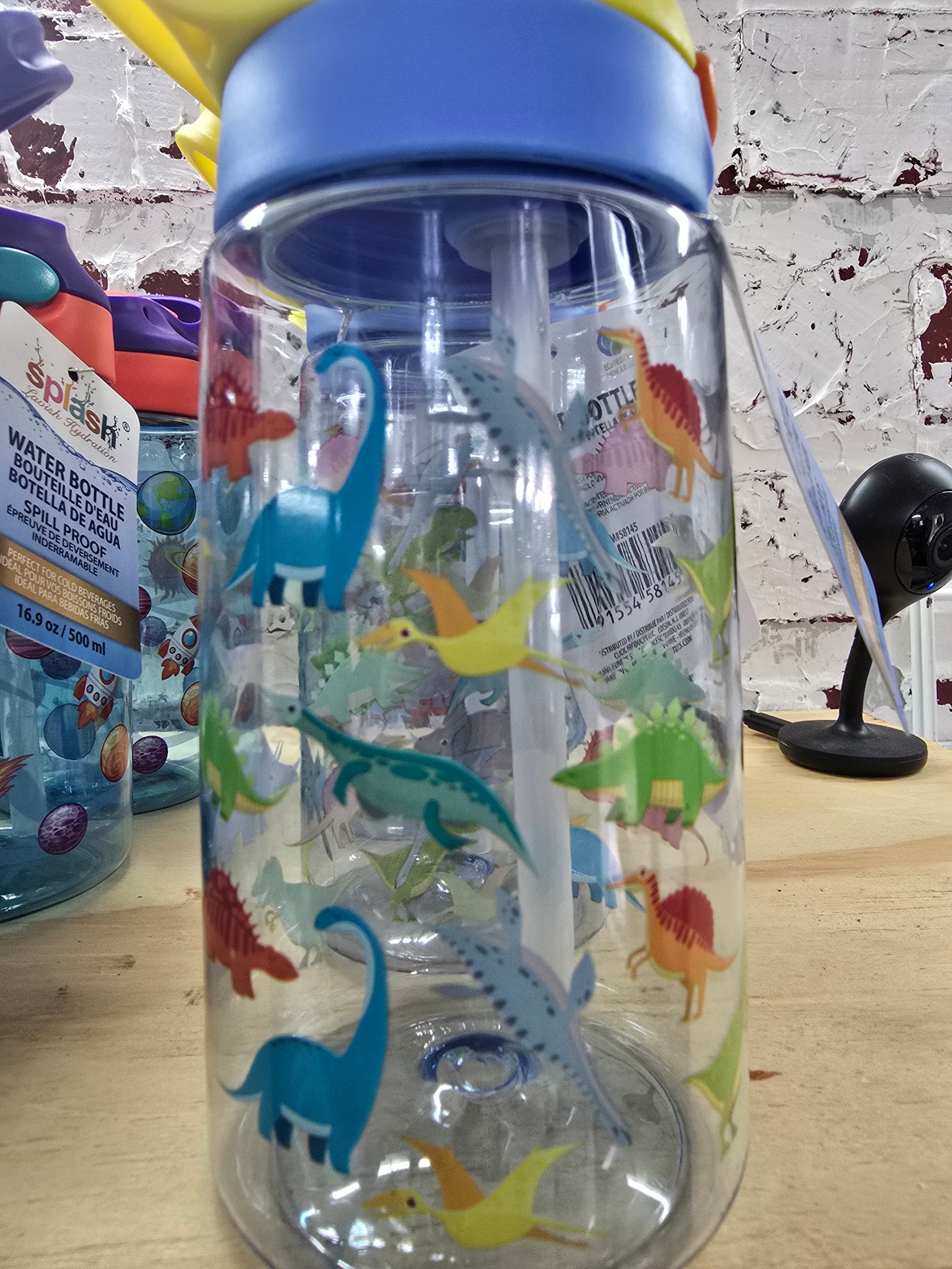 boy dinosaur water bottle