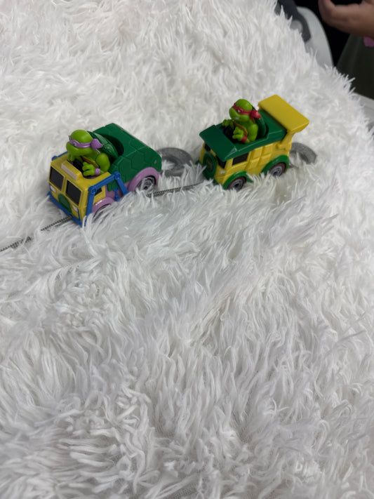 Ninja Turtle