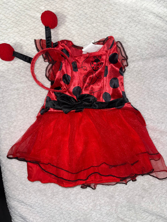Ladybug Costume 12/18m