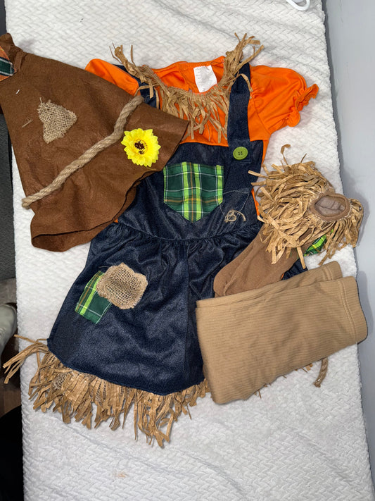 Scarecrow Costume 6/6x