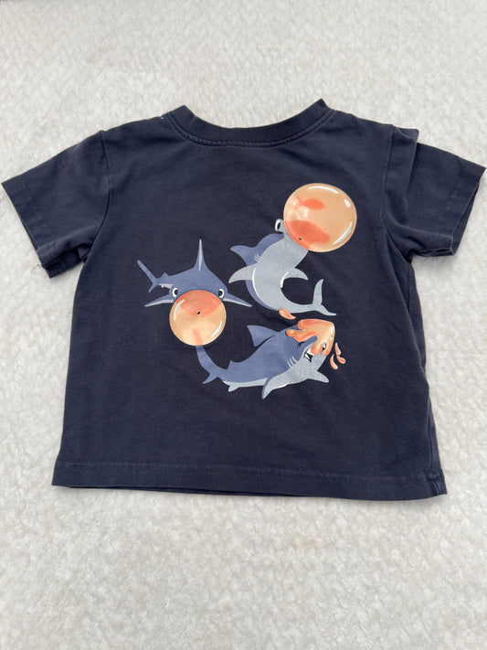 Boy Size 12m