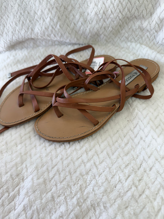 Girls shoe size: 6.5
